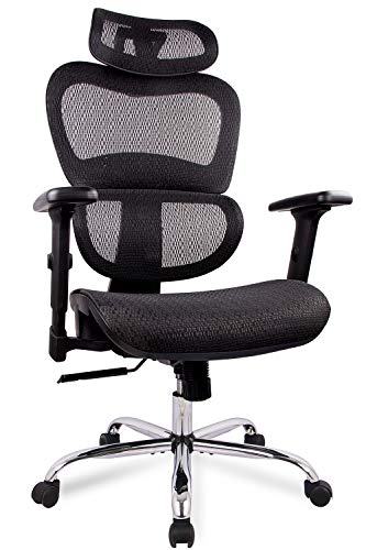 Office Chair, Ergonomics Mesh Chair Computer Chair Desk Chair High Back Chair w/Adjustable Headrest and Armrest