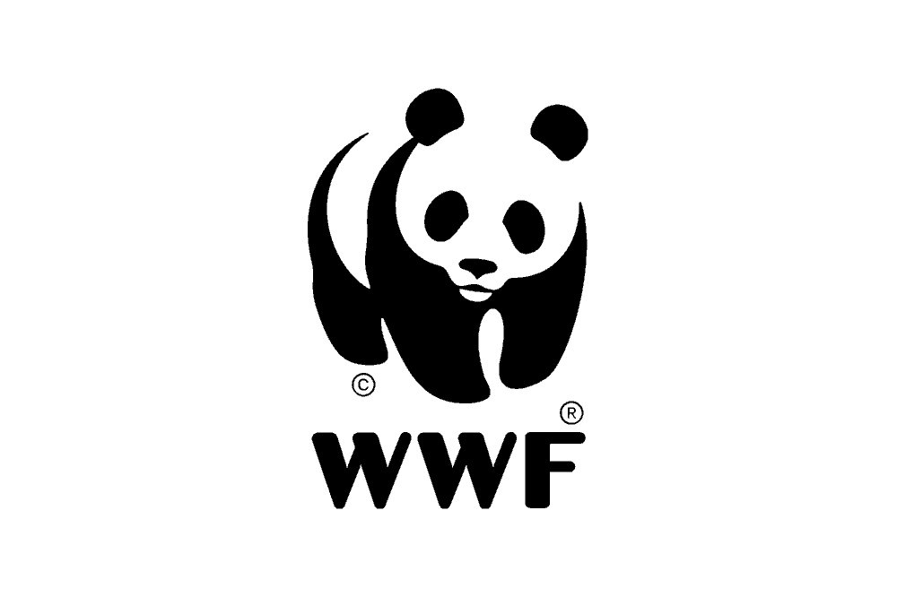 Charity Branding Wwf Logo Design