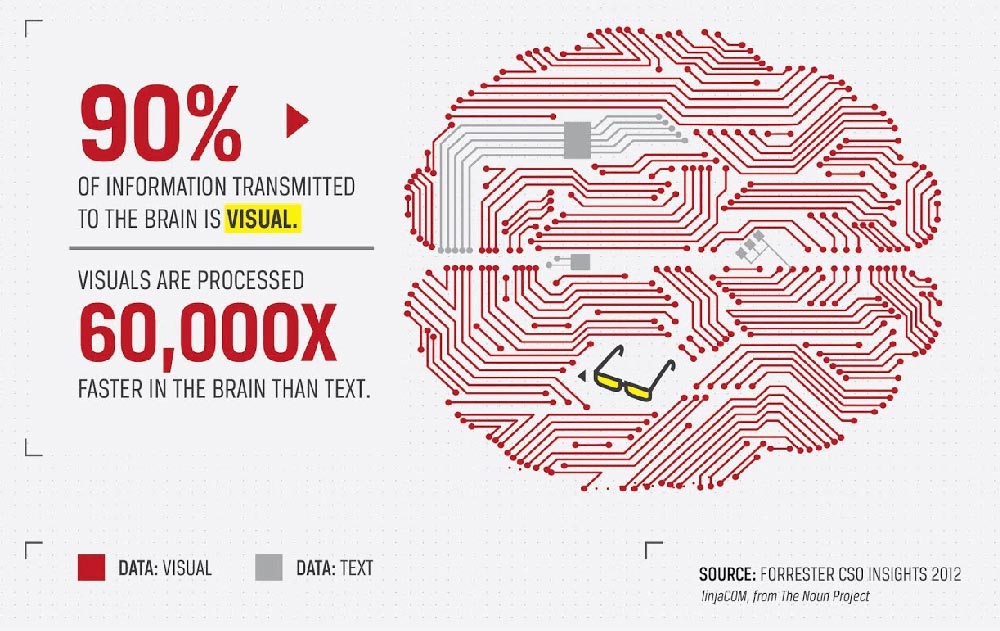 Information Infographic