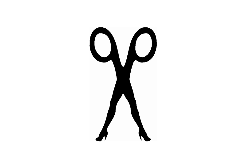 Scissor Sisters Musician Logo