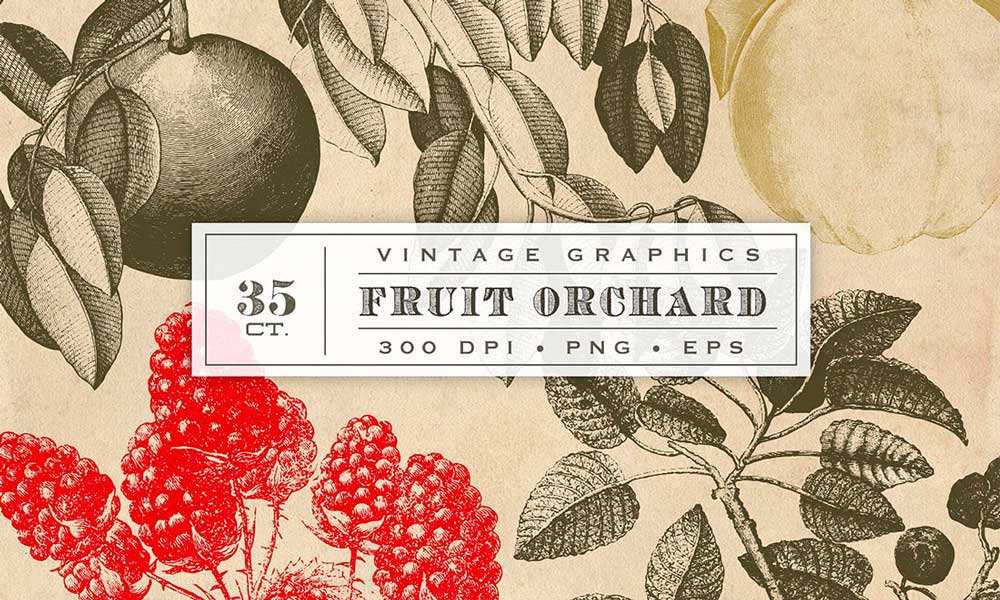 Vintage Graphics Design