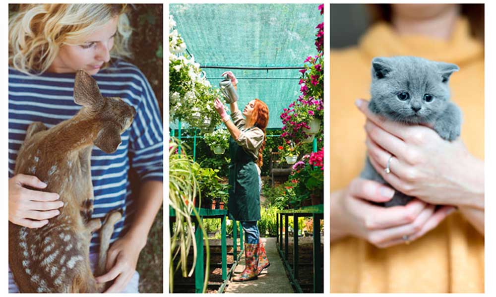 Caregiver Brand Archetypes