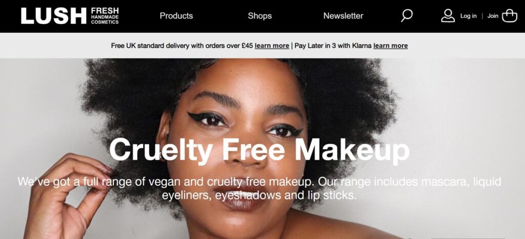 Lush Successful Brand Strategy